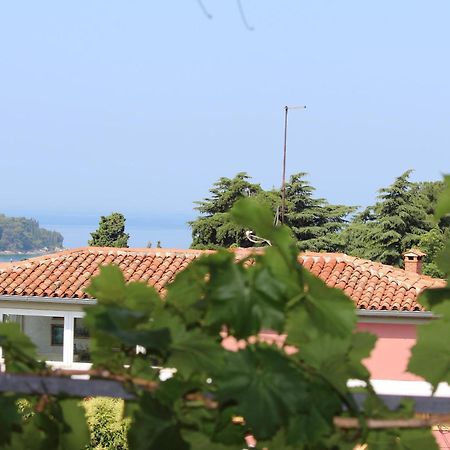 Apartments Horizont ロヴィニ エクステリア 写真