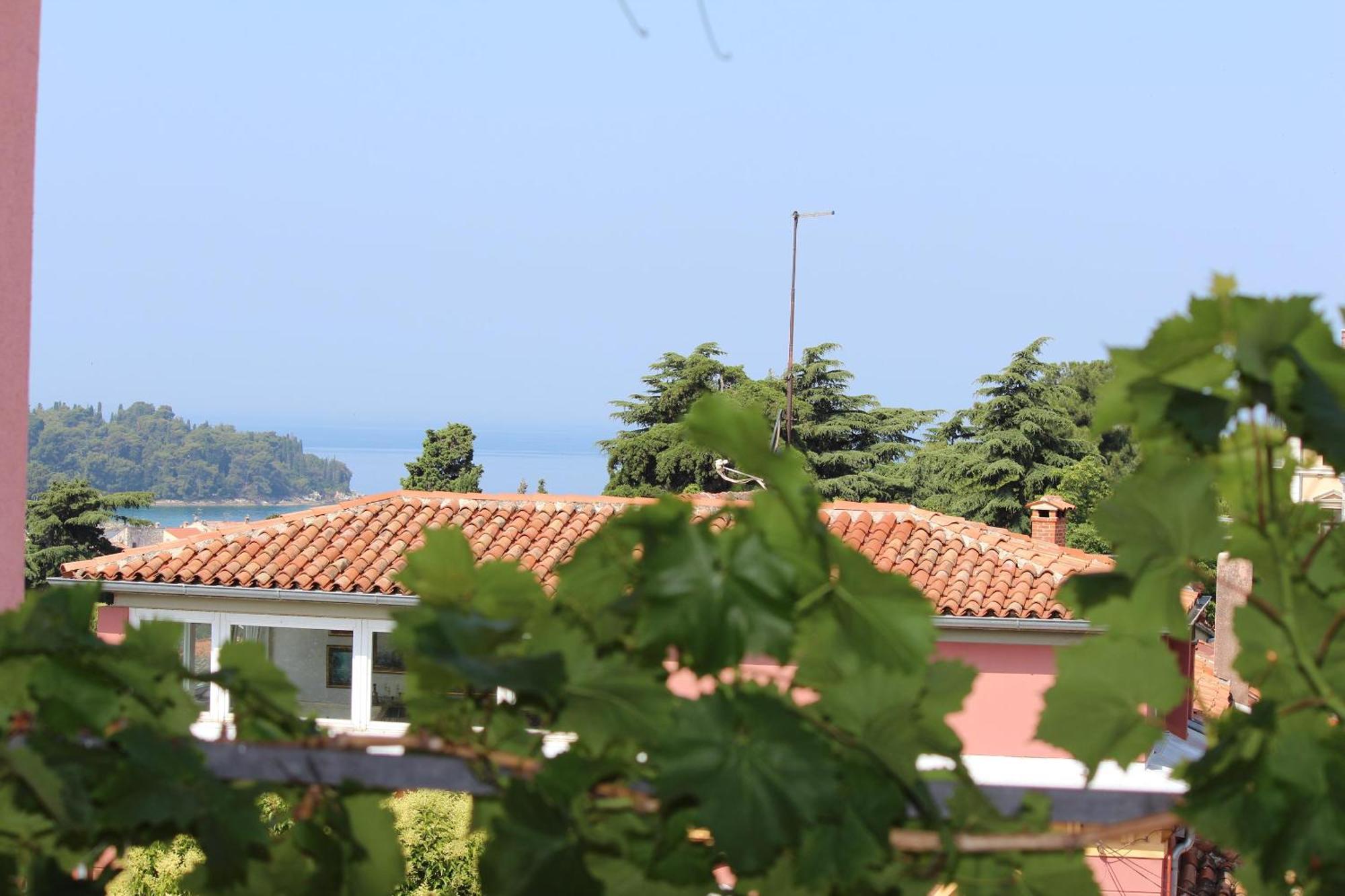 Apartments Horizont ロヴィニ エクステリア 写真